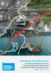 Wellington Lifelines Project preview