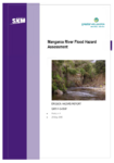 Mangaroa Erosion Report  preview