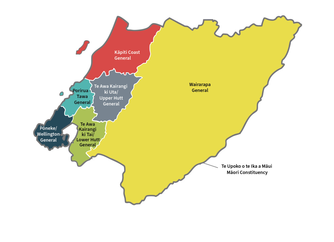 Constituency Map general and Maori